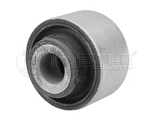Bloco silencioso dianteiro do braço oscilante inferior 545600005R Renault (RVI)