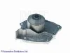 ADZ99129 Blue Print