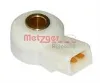 0907006 Metzger
