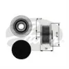 Polia do gerador Fiat Ducato 3 250