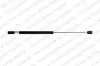 Amortecedor de tampa de porta-malas (de 3ª/5ª porta traseira) Ford Focus 2 DA, HCP, DP