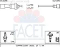 47251 Facet