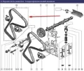 Correia do mecanismo de distribuição de gás, kit Renault 9 L42