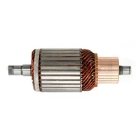 Induzido (rotor) do motor de arranco 137093 Cargo