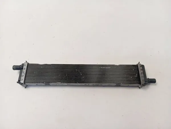 Radiador de esfriamento de motor 214108020R Renault (RVI)