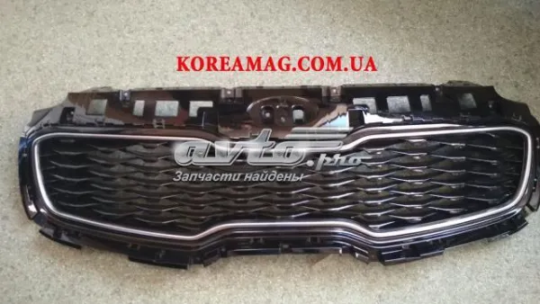 Grelha do radiador 86350F1500 Hyundai/Kia
