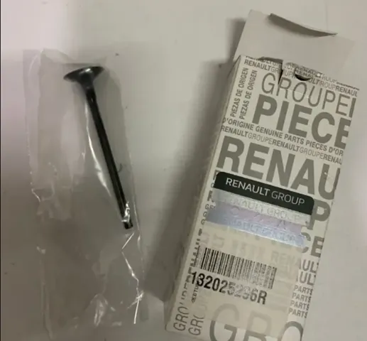 Válvula de escape 132025724R Renault (RVI)