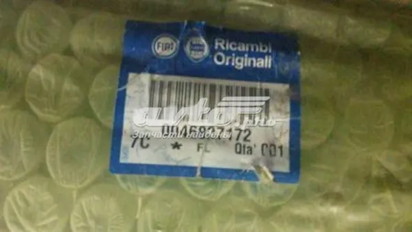 Porta traseira (3ª/5ª porta-malas (tampa de alcapão) 46827172 Fiat/Alfa/Lancia