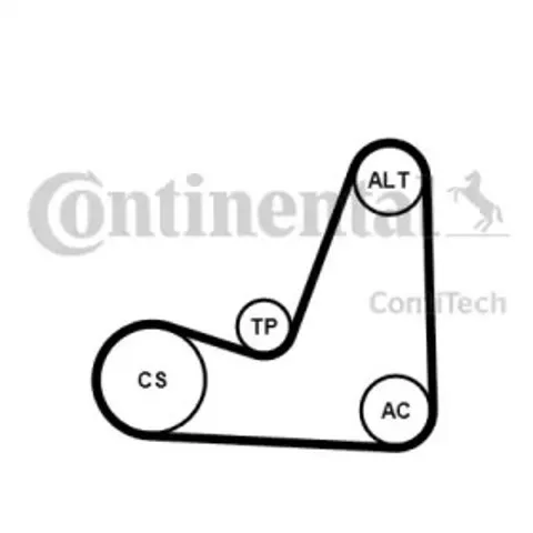 Correia dos conjuntos de transmissão, kit 5PK1200K1 Continental/Siemens