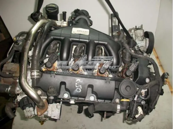 Motor montado QXBA Ford