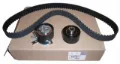 Correia do mecanismo de distribuição de gás, kit Land Rover Freelander L359
