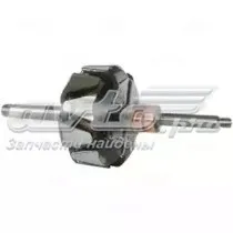 Induzido (rotor) do gerador 137239 Cargo
