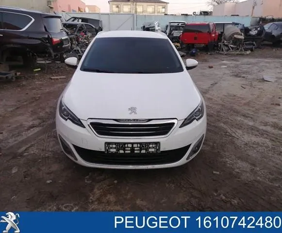 Grelha do radiador 1610745180 Peugeot/Citroen