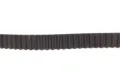 Correia do mecanismo de distribuição de gás, kit Suzuki Grand Vitara JB