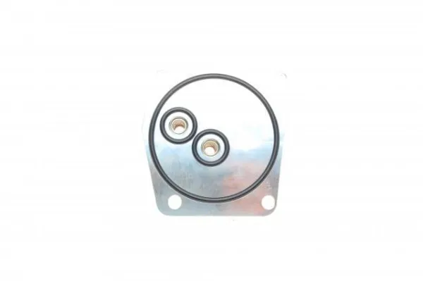  1010320108XX Mahle Original