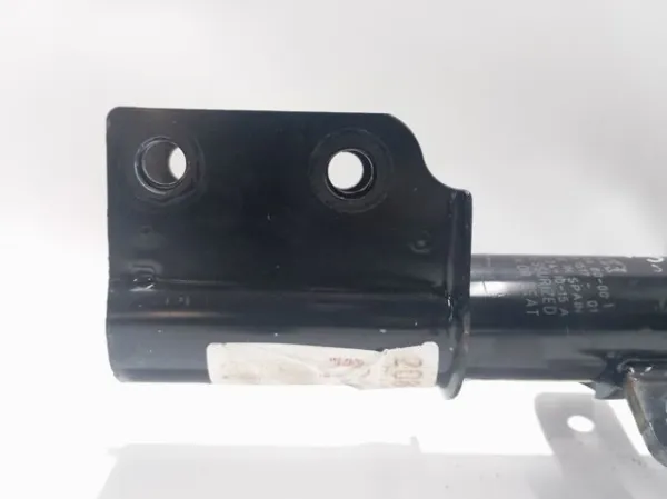 Amortecedor dianteiro 9852218480 Peugeot/Citroen