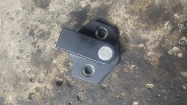 Gozno de garra (parte complementar) de fecho da porta dianteira 8176350 BMW