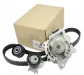 Correia do mecanismo de distribuição de gás, kit Citroen C5 