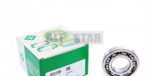 Rolamento de cubo traseiro 742000310 INA