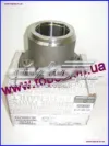 Cubo traseiro 432100013R Renault (RVI)