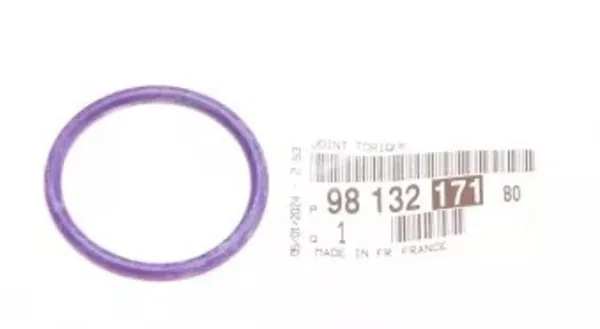 Vedante de bomba de água 9813217180 Peugeot/Citroen