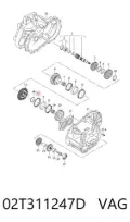 Anel de sincronizador Seat Ibiza 6L1