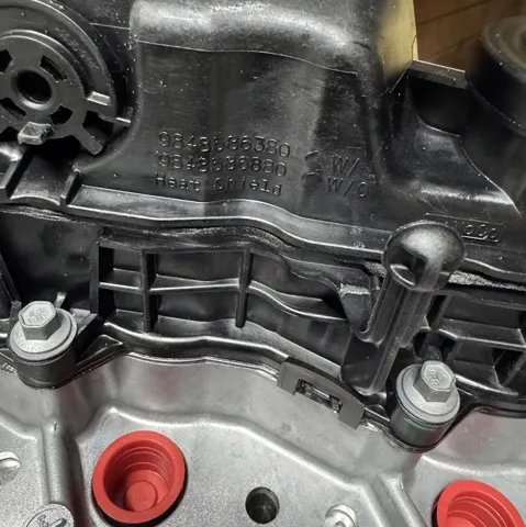  1613251380 Peugeot/Citroen