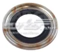 Kit de reparação do motor de arranco Iveco Stralis 