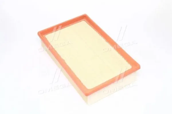 Filtro de ar RD1340WA6675 Rider