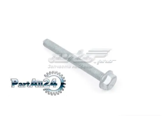 N10690201 VAG Rolo de reguladora de tensão da correia do mecanismo de distribuição de gás