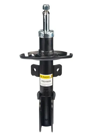 Amortecedor dianteiro RS319556 Raiso