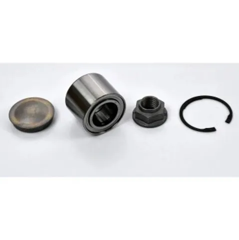 Rolamento de cubo traseiro 432102069R Renault (RVI)