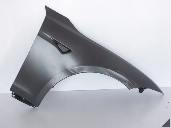 Pára-lama dianteiro direito Tesla Model S 5YJS