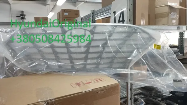 Grelha do radiador 86366G4500 Hyundai/Kia