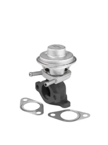 Válvula EGR de recirculação dos gases 712069D Wahler