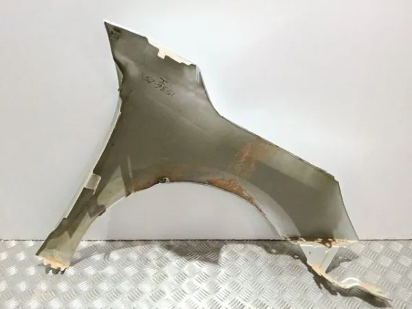 Pára-lama dianteiro esquerdo 9829283280 Opel