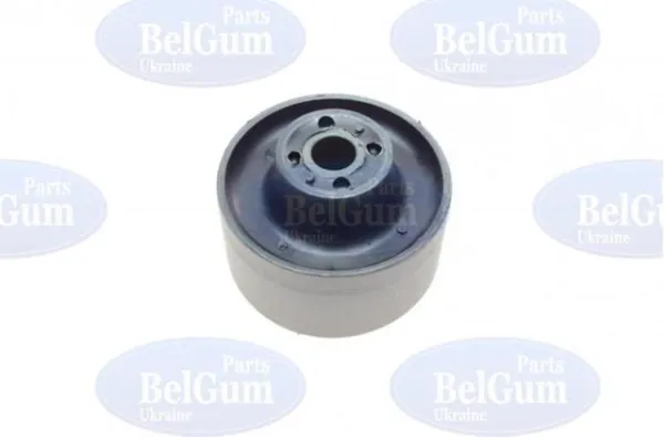 Bloco silencioso dianteiro do braço oscilante inferior BG0303 Belgum