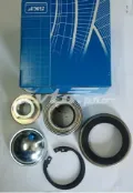 Rolamento de cubo traseiro Ford Focus DFW