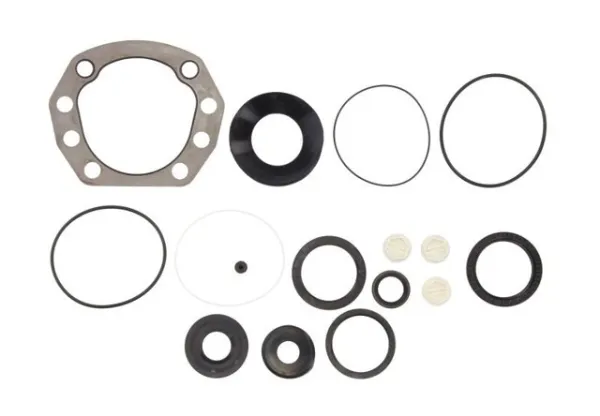 Kit de reparação da cremalheira da direção (do mecanismo), (kit de vedantes) DAF 105 XF