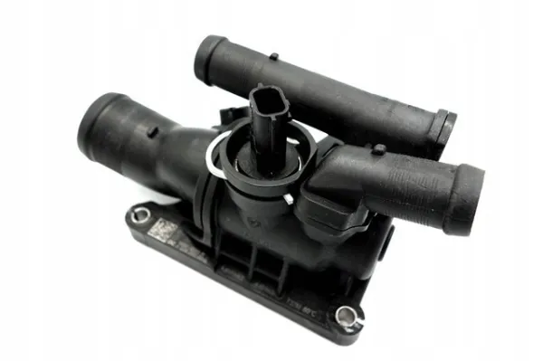 Termostato 110606973R Renault (RVI)