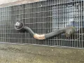 Braço oscilante inferior esquerdo de suspensão dianteira BMW X5 E70
