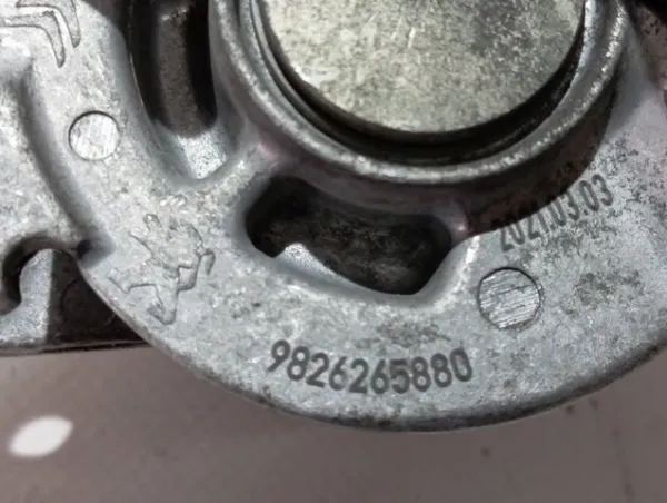  9826265880 Peugeot/Citroen