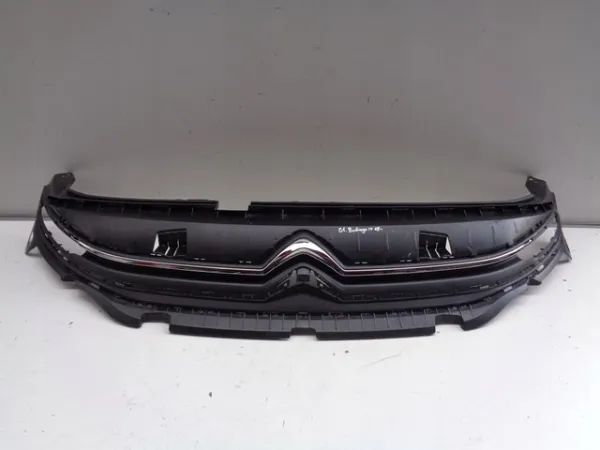 Grelha do radiador 9816749780 Peugeot/Citroen