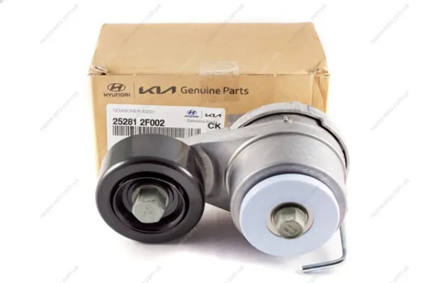  2528107005 Hyundai/Kia