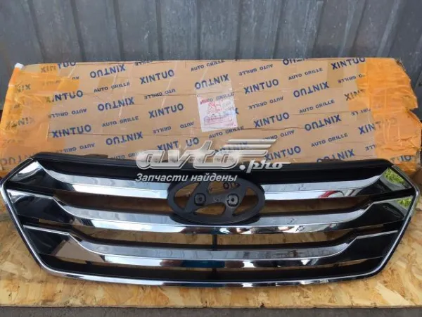 Grelha do radiador 863502W010 Hyundai/Kia