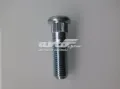Parafuso de cubo KIA Carnival GQ