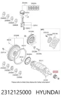 Engrenagem de cadeia da roda dentada de acionamento de cambota de motor Hyundai Sonata NF