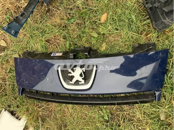  1497644077 Peugeot/Citroen