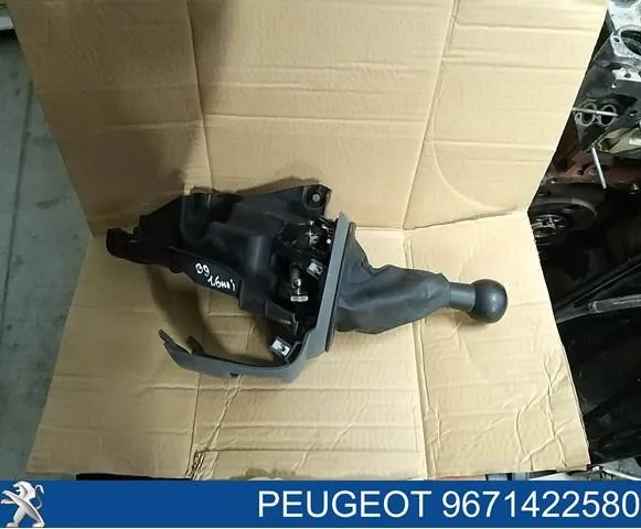  9671422580 Peugeot/Citroen