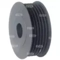 Polia do gerador Citroen ZX N2
